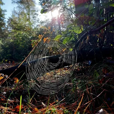 Holiday home Mar Veluwe