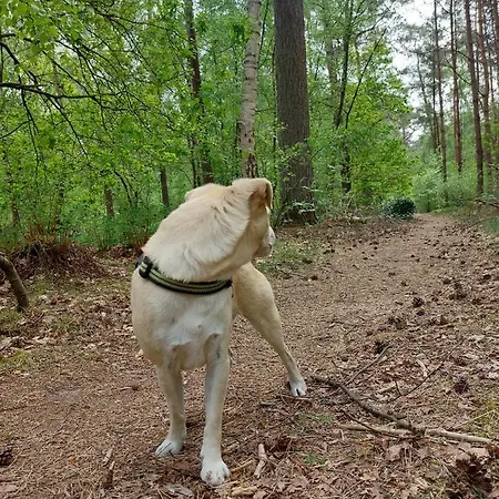 Holiday home Mar Veluwe *