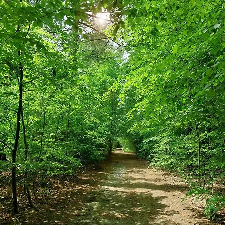 Mar Veluwe Holiday home Ermelo