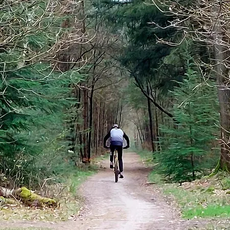 Mar Veluwe