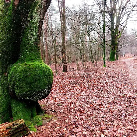 Mar Veluwe Ermelo