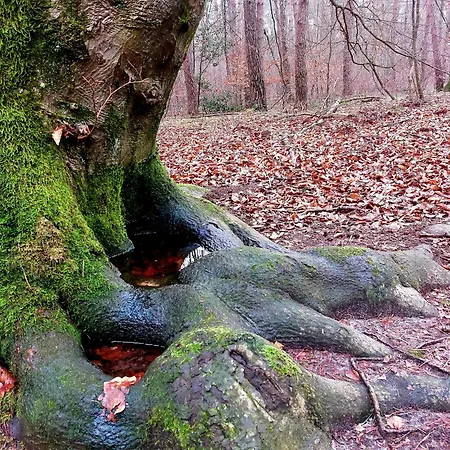 Holiday home Mar Veluwe Ermelo