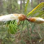 Mar Veluwe 別荘 *