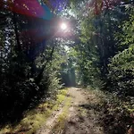 別荘 Mar Veluwe *