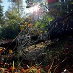別荘 Mar Veluwe
