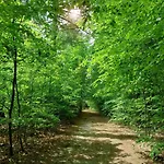 Mar Veluwe 別荘 エルメロ