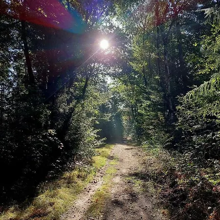 別荘 Mar Veluwe *