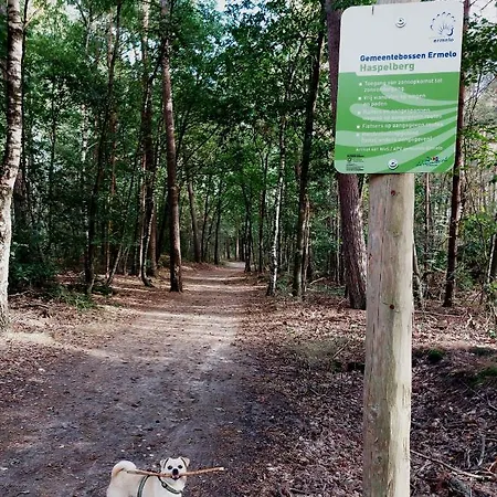 Mar Veluwe * エルメロ