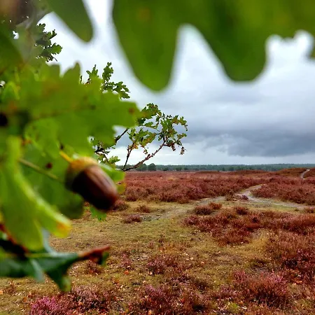 Mar Veluwe * エルメロ