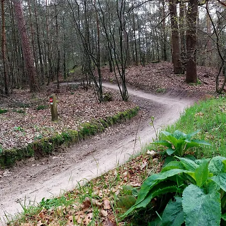 Дом отдыха Mar Veluwe Эрмело