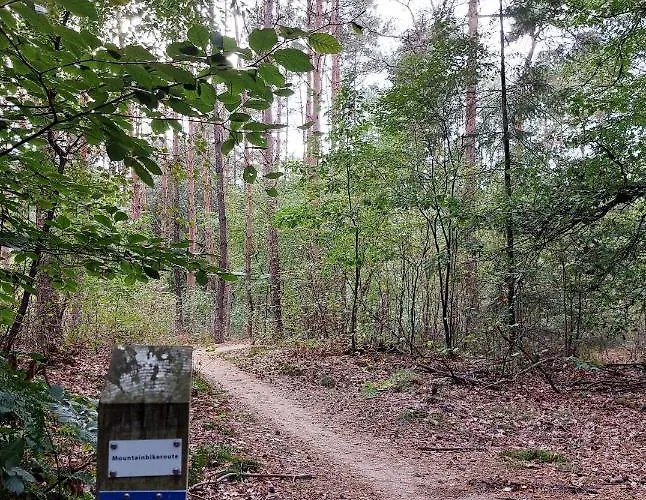 Mar Veluwe Эрмело