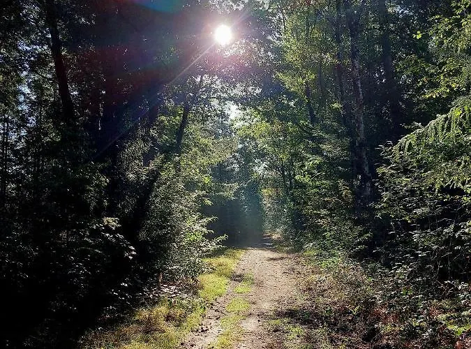 Дом отдыха Mar Veluwe *