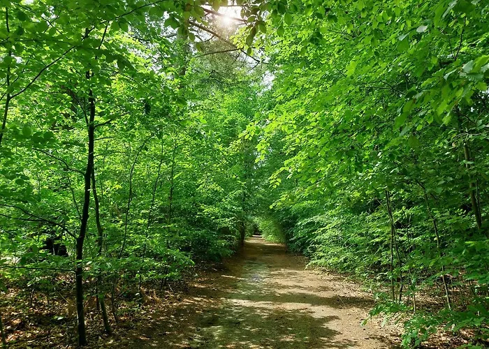 Mar Veluwe Дом отдыха Эрмело