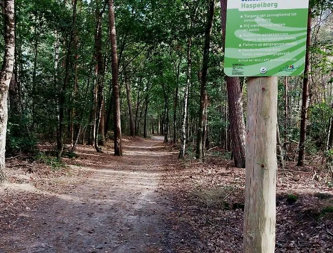 Mar Veluwe * Эрмело