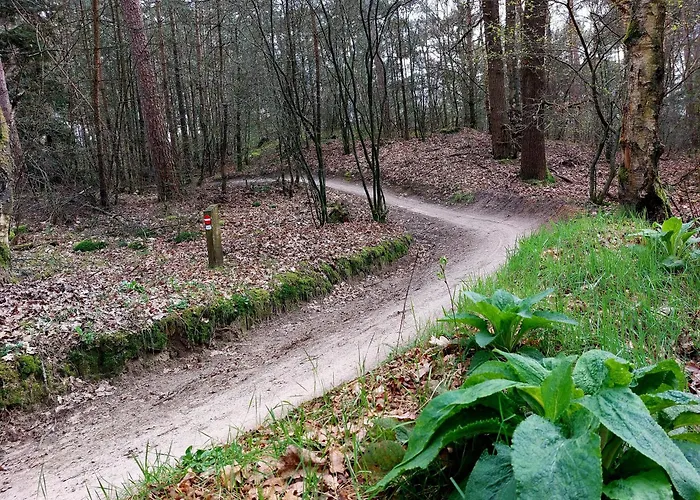 Дом отдыха Mar Veluwe Эрмело